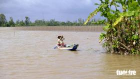 Ngư dân miền Tây 'hốt bạc' nhờ mùa nước nổi  第1张