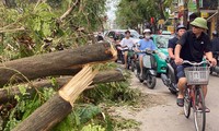  Người Hải Phòng, Quảng Ninh đổ xô mua máy phát điện, xăng dầu, sim điện thoại 