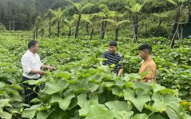 Mạnh dạn khai phá vùng đất khó