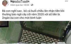 Cảnh báo mạo danh Hội Chữ thập đỏ Quảng Ninh lừa đảo kêu gọi quyên góp ủng hộ vùng bão