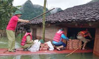  Văn phòng Trung ương Đoàn phía Nam tiếp nhận nhiều sẻ chia với đồng bào vùng bão lũ 