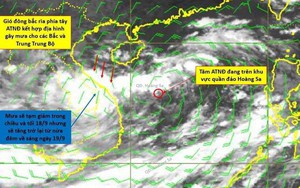 Cảnh báo mưa cực lớn ở Quảng Trị - Đà Nẵng, Thủ tướng Chính phủ yêu cầu quyết liệt ứng phó bão số 4  第5张