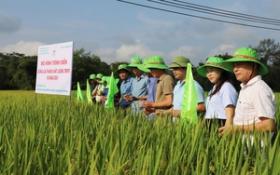 Nông thôn mới Hà Giang: Bình quân mỗi năm hoàn thành 285 km đường giao thông các loại  第8张