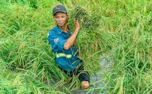 Dự án xử lý rác thải cho nông dân tại Thanh Hóa mang lại lợi ích kinh tế thấy rõ  第6张