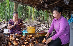 Long An: Đầu tư tưới tự động trồng rau màu, làm nông nghiệp công nghệ cao từ tiền vốn Quỹ HTND