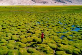 Khách Việt 14 ngày lái mô tô khám phá thiên nhiên siêu thực ở Ladakh Ấn Độ  第8张