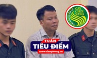  Bản tin 8H: Tìm thấy thi thể mẹ cháu Hoàng Xuân Phúc ở Làng Nủ 