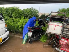 Hà Nội: Đường ngập sâu sau mưa lớn, ô tô chết máy, xe máy phá nát dải phân cách tìm đường “thoát thân”  第7张