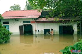 Hơn 700 ngôi nhà ngập trắng, dân mang lợn lên đê dựng lán chăn nuôi  第4张