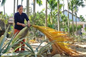 Phiên chợ độc đáo, người buôn khấm khá với thứ từng bỏ đi, rụng đầy vườn  第2张