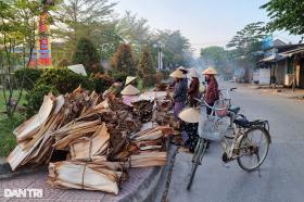 Phiên chợ độc đáo, người buôn khấm khá với thứ từng bỏ đi, rụng đầy vườn  第3张