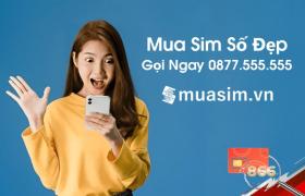  Giới doanh nhân nở rộ trào lưu mua sim số đẹp tứ quý 