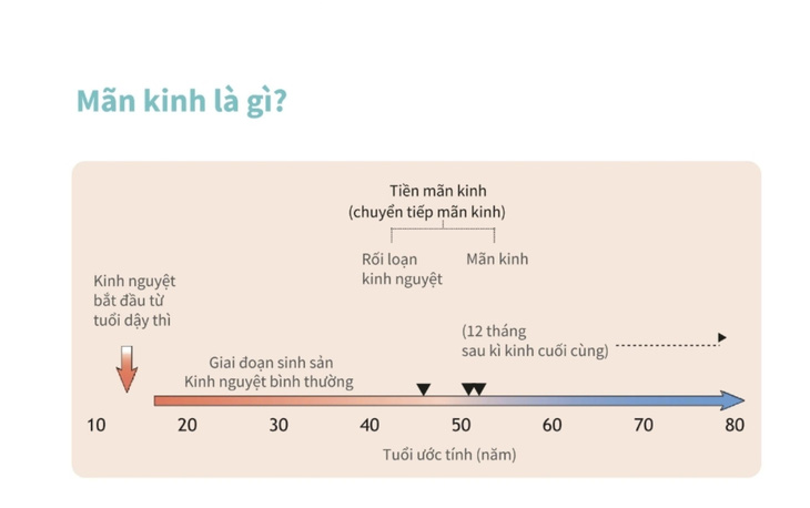 Mãn kinh không đơn giản chỉ là không còn ‘đèn đỏ’