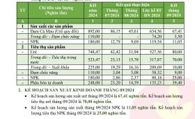 Đạm Cà Mau sắp hoàn thành mục tiêu xuất khẩu, lên kế hoạch tiêu thụ Urê, NPK cao kỷ lục