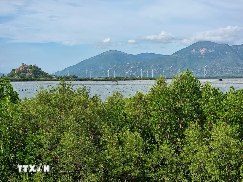  Ninh Thuận phê duyệt chương trình hành động thích ứng với biến đổi khí hậu 